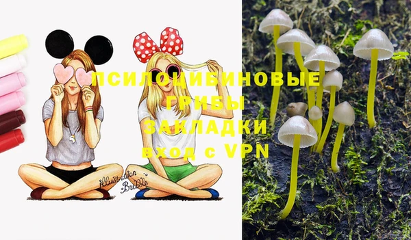 PSILOCYBIN Алексин