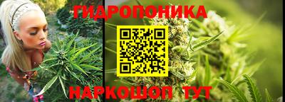 крисы Кинель
