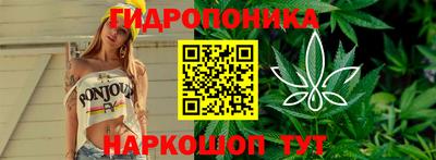 трава Кимры