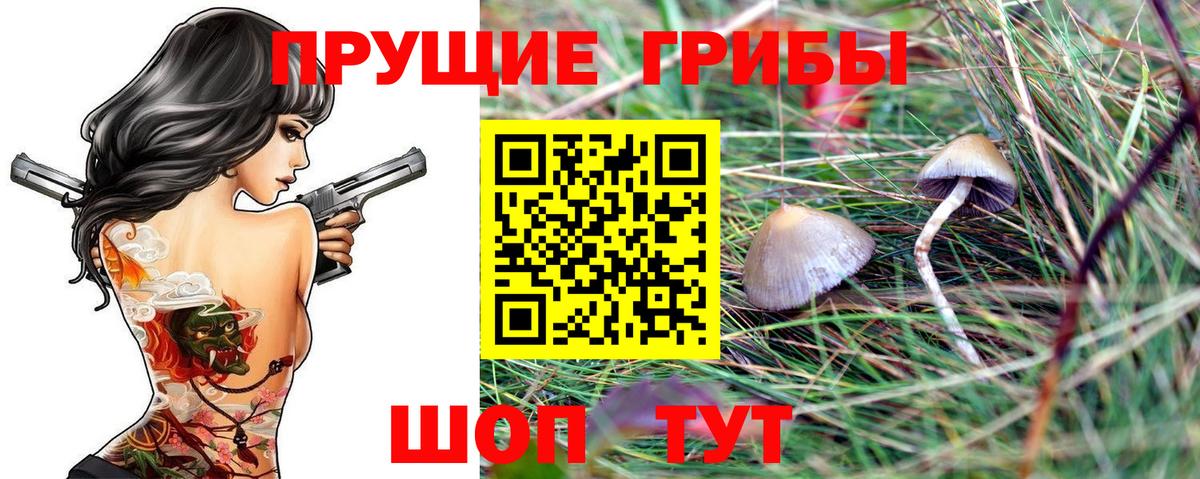 Джанкой  Галлюциногенные грибы мухоморы  Галлюциногенные грибы MAGIC MUSHROOMS  Вход с VPN 