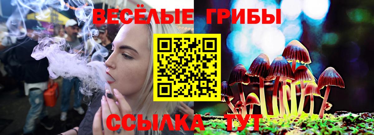 Псилоцибиновые грибы GOLDEN TEACHER Джанкой